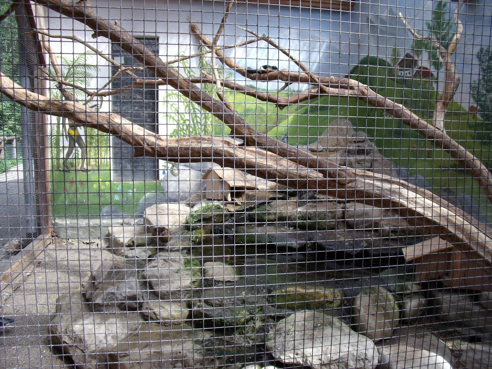 Bodensee Zoo ?berlingen - Prevost squirrel enclosure