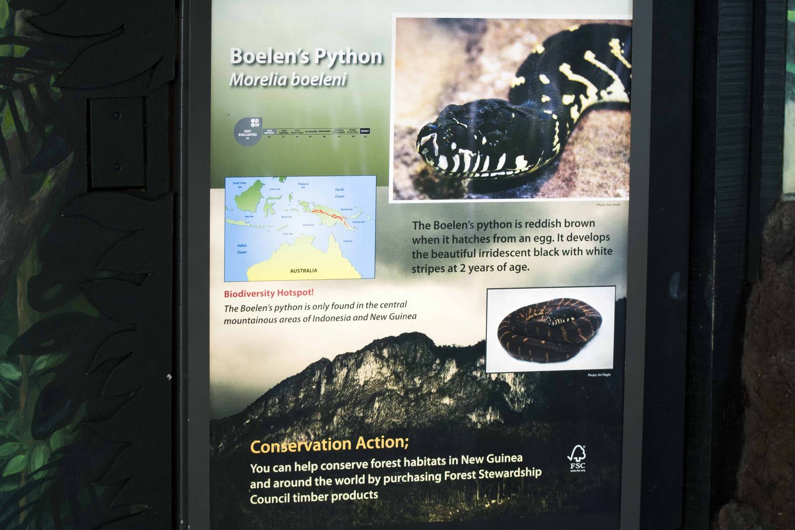 Boelen's Python Signage