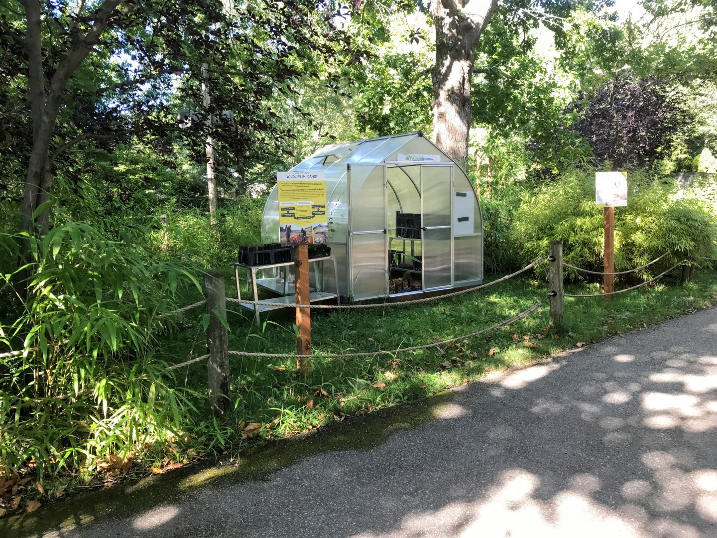 Boise Foothills Restoration Project