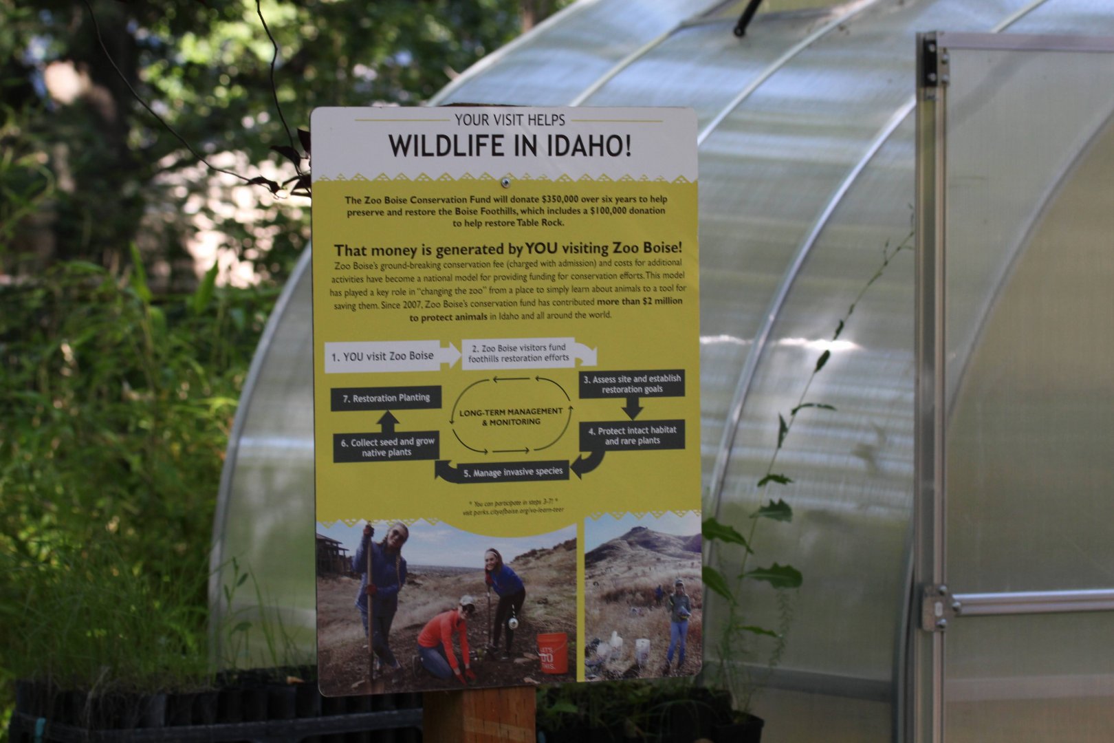 Boise Foothills Restoration