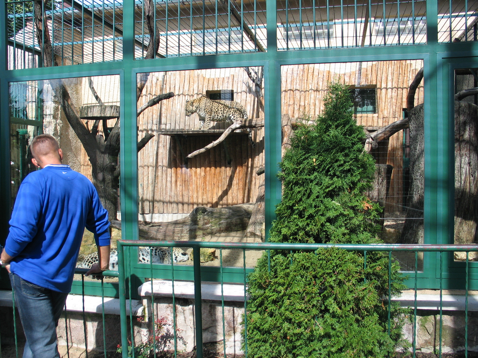 Bojnice zoo - September 2005