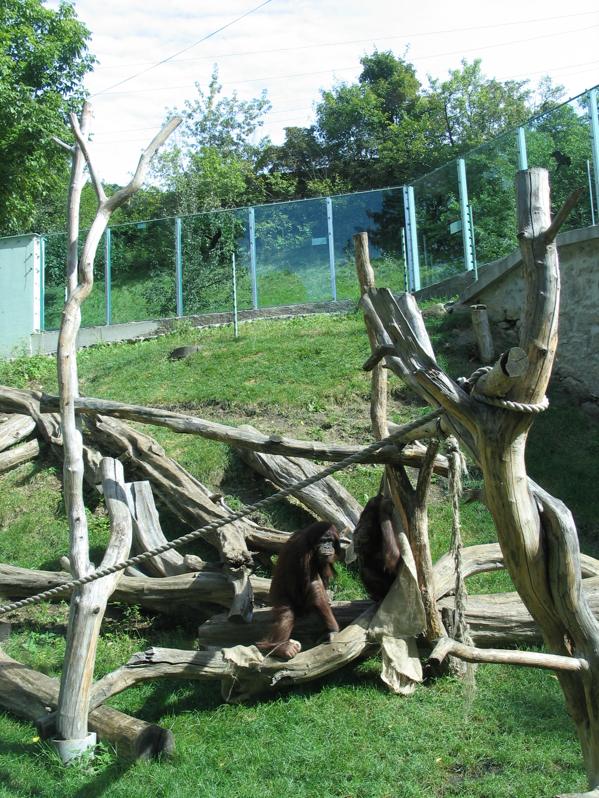Bojnice zoo - September 2005