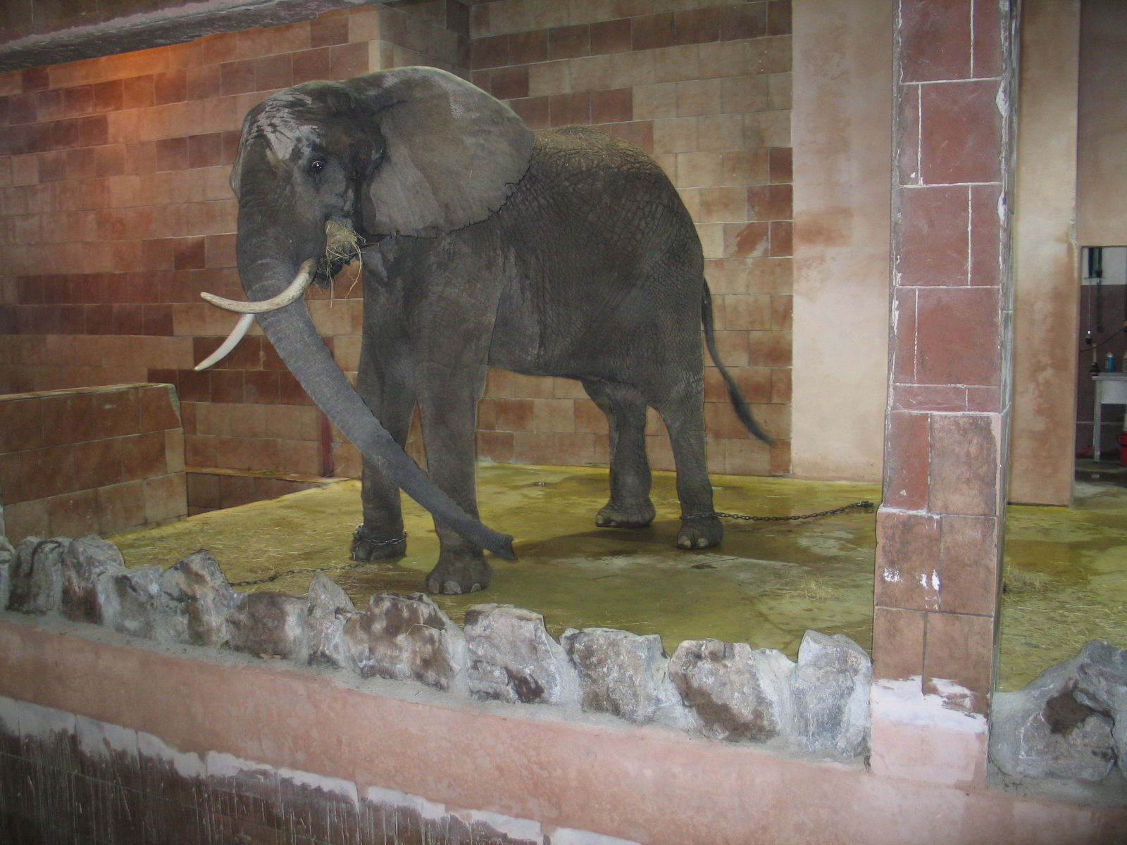 Bojnice Zoo - September 2005