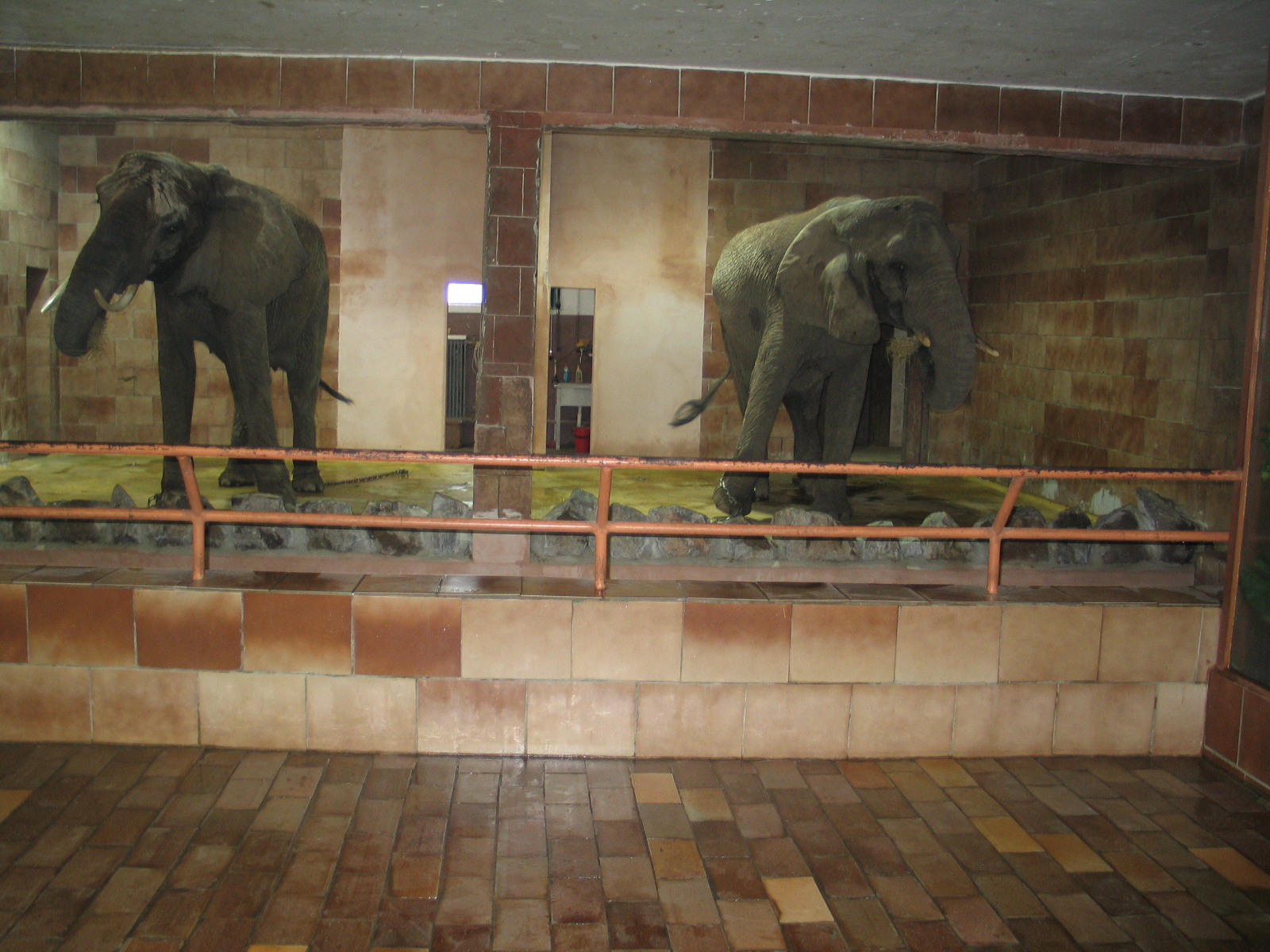 Bojnice Zoo - September 2005