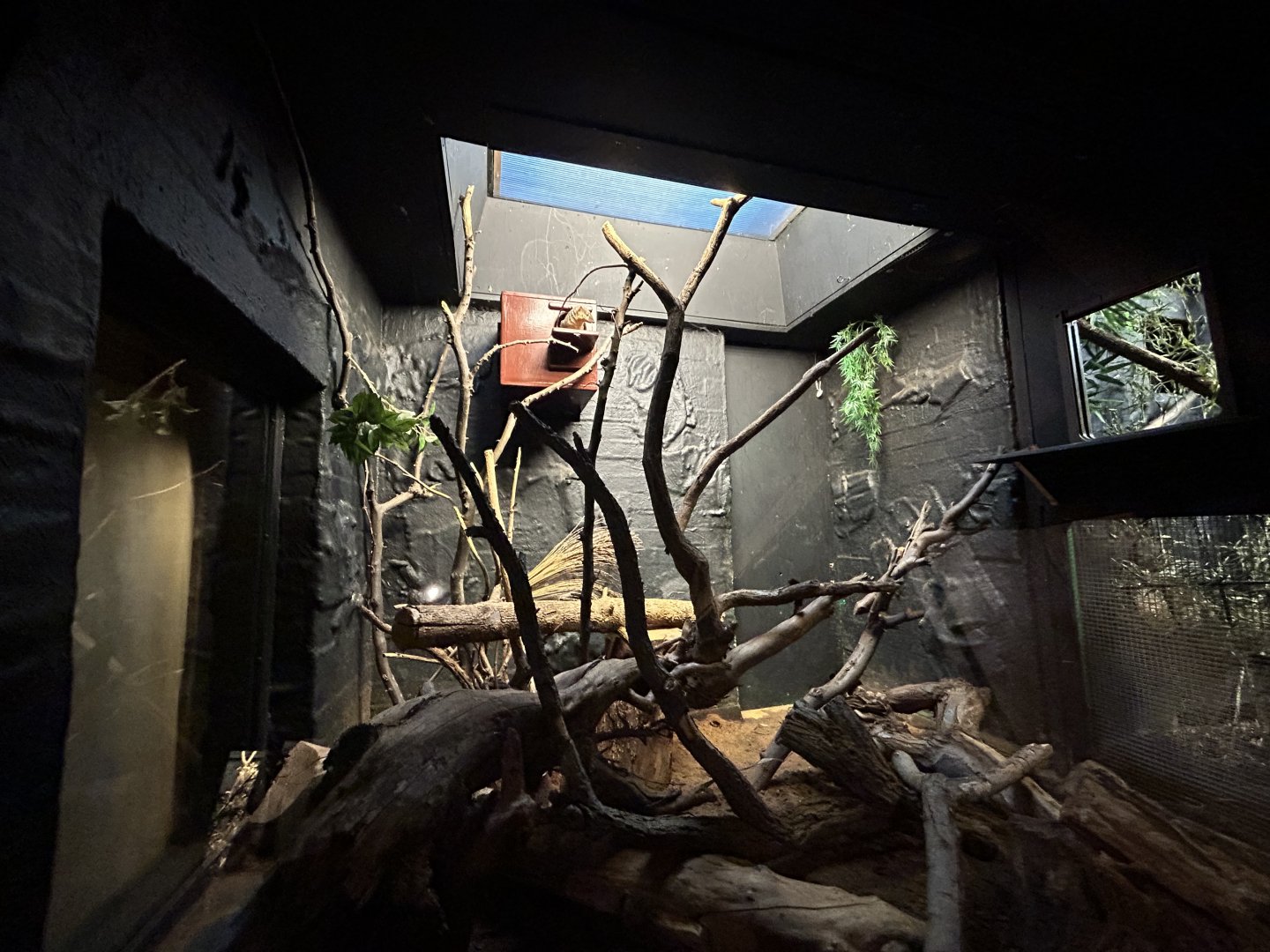 Boky Boky Exhibit - Rainforest Life