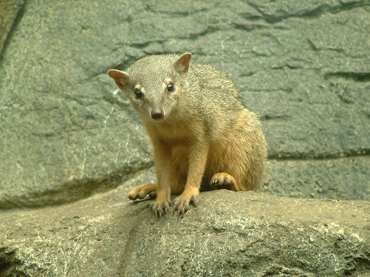 Boky-Boky - July 2011