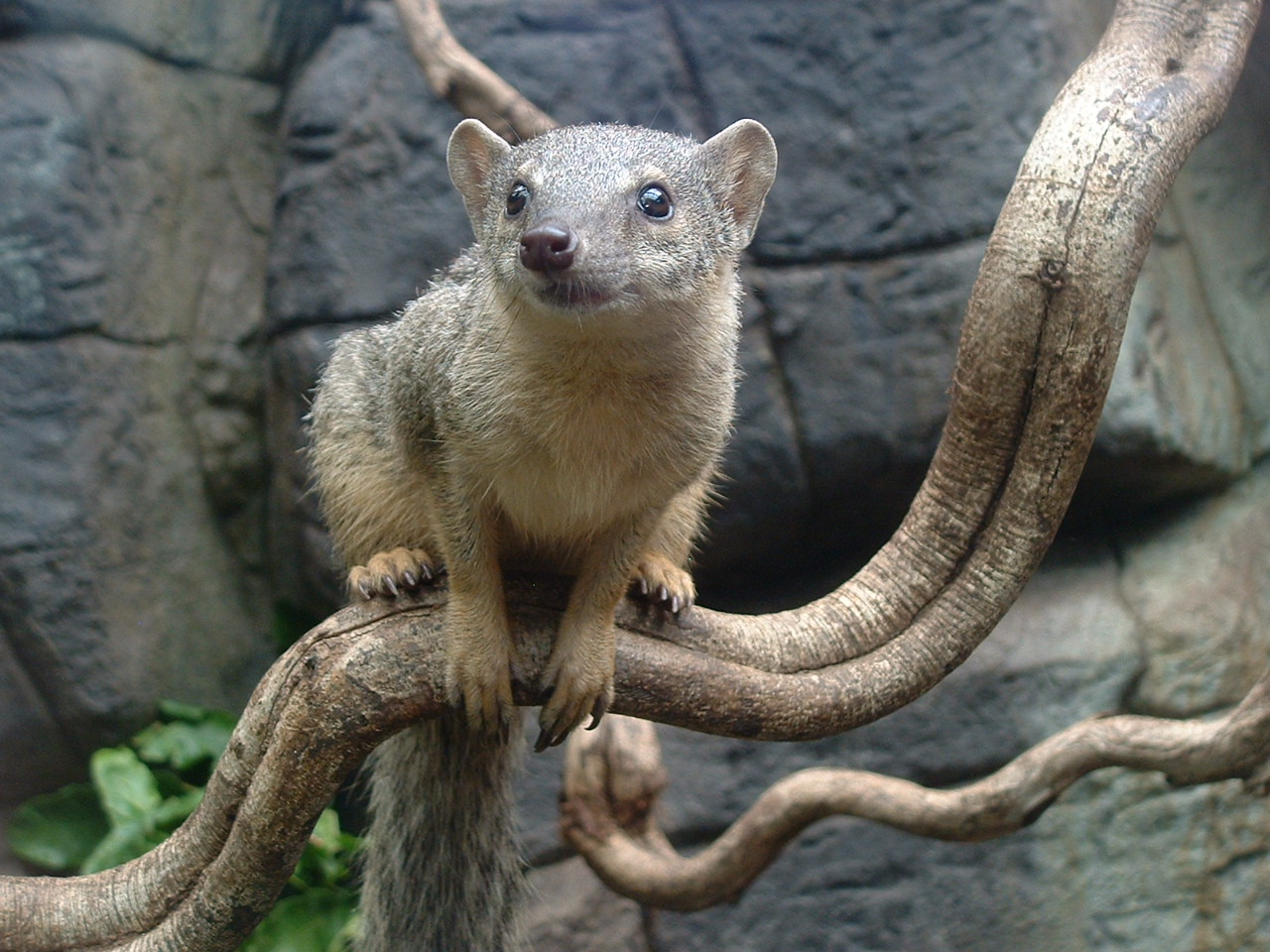 Boky Boky - July 2011