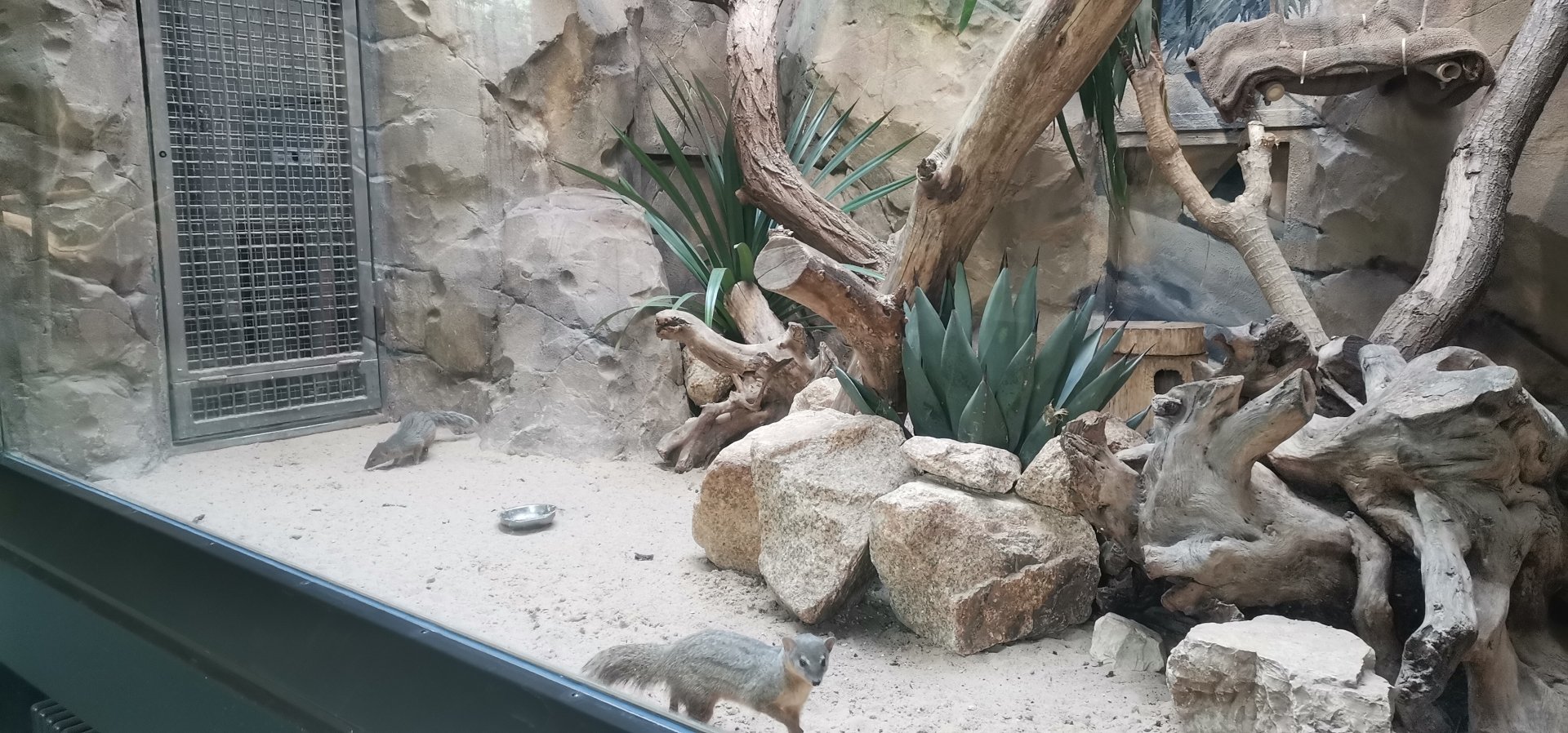 Boky - boky, one of the indoor exhibits