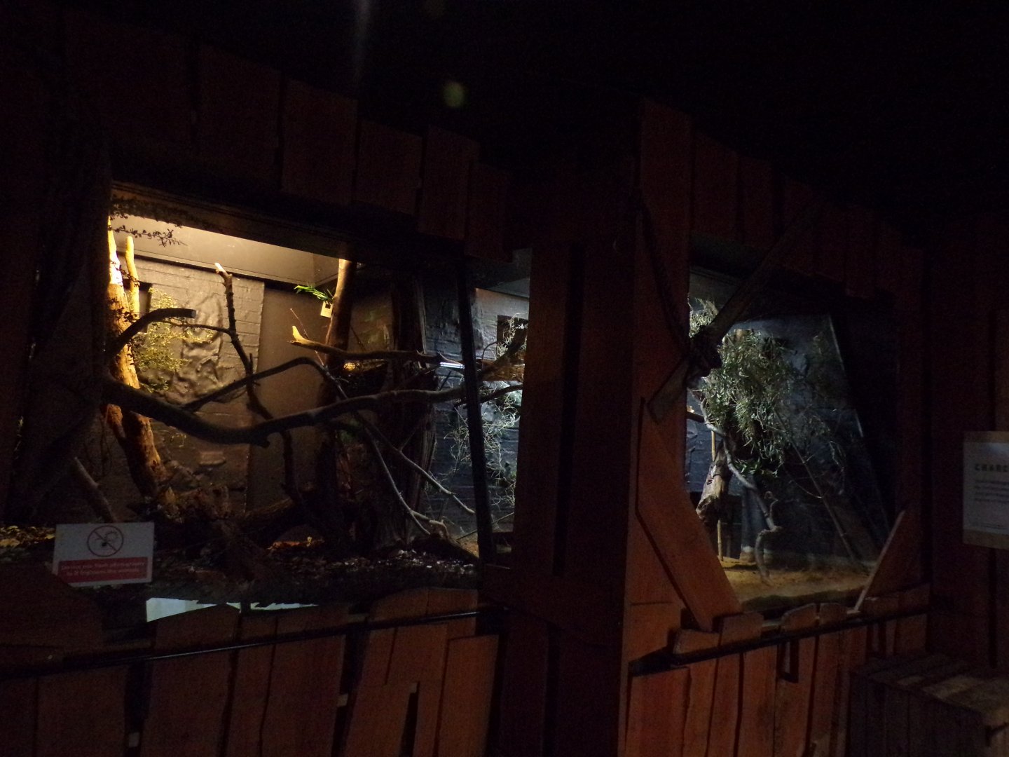 Bokyboky indoor enclosure 11.2.25