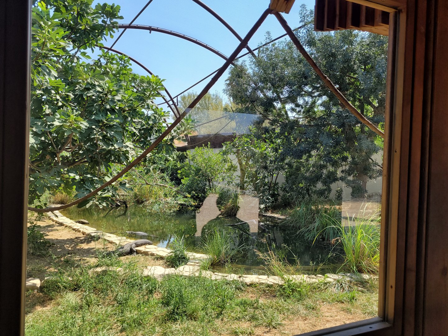 Bolivian squirrel monkey, American alligator and Red-eared slider exhibit -Réserve Africaine de Sigean (2022)