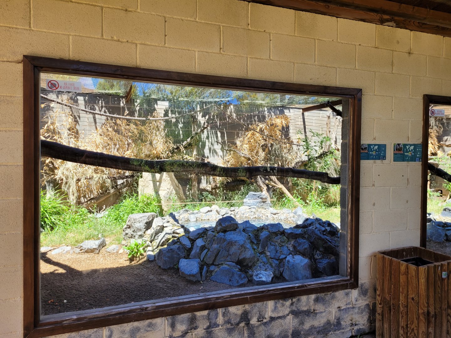 Bolivian squirrel monkey and Leopard tortoise exhibit -Sendaviva (2024)