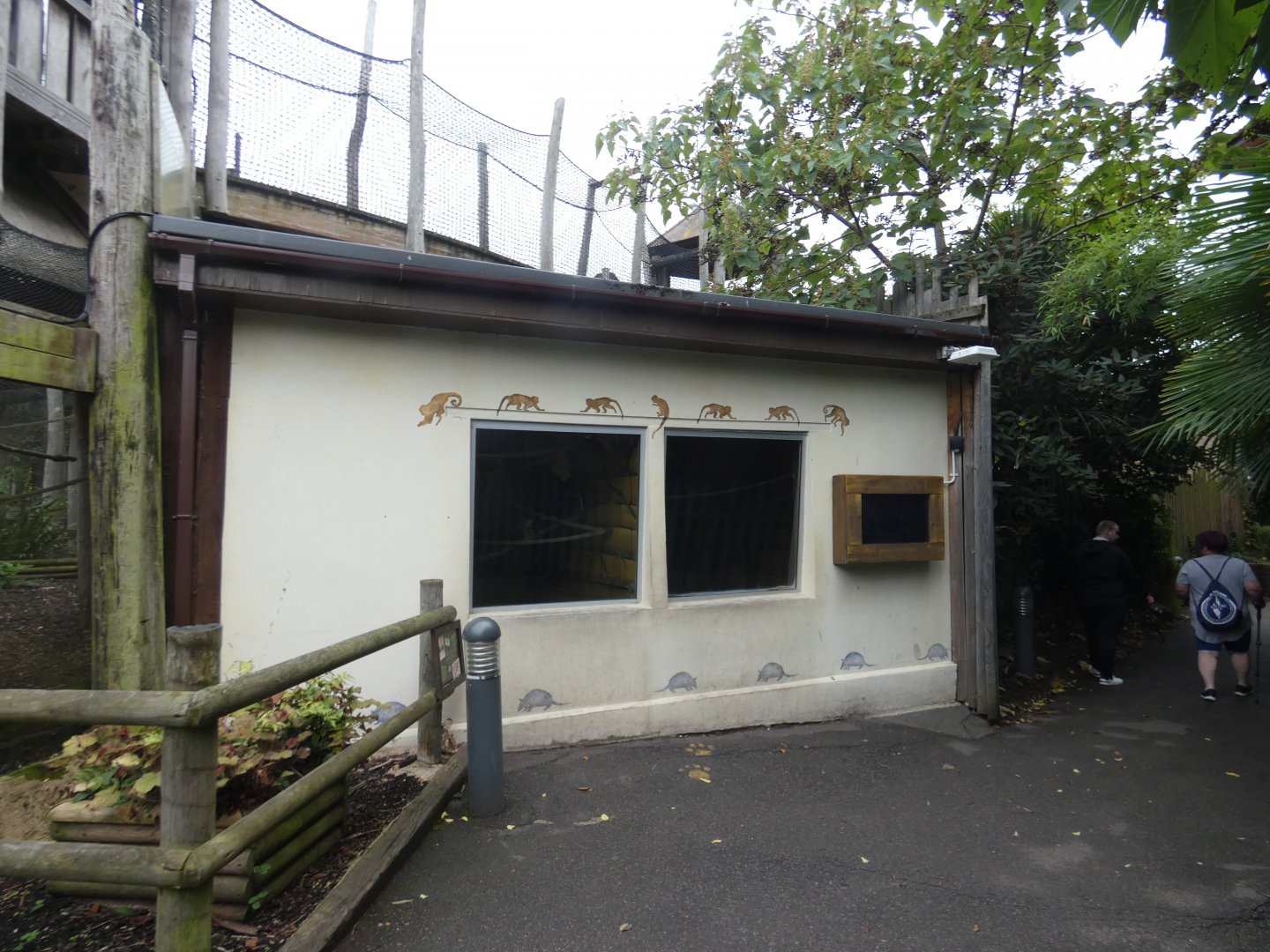 Bolivian squirrel monkey and six-banded armadillo house