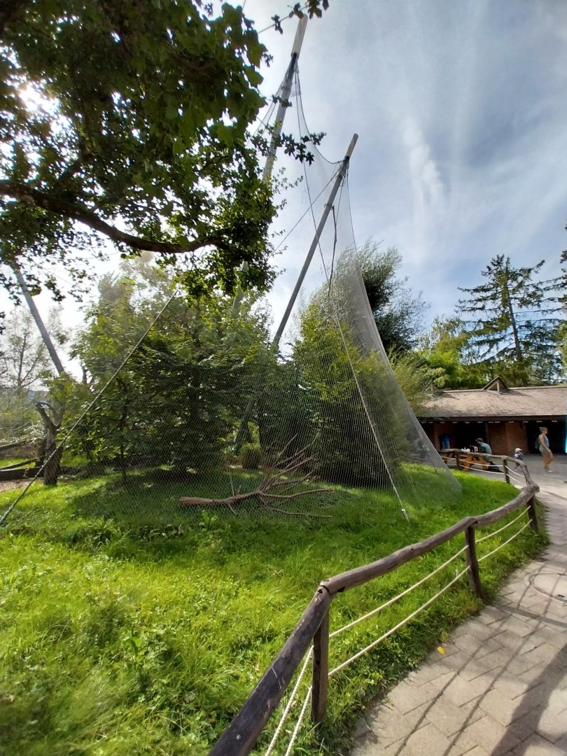 Bolivian squirrel monkey & common red-rumped agouti aviary