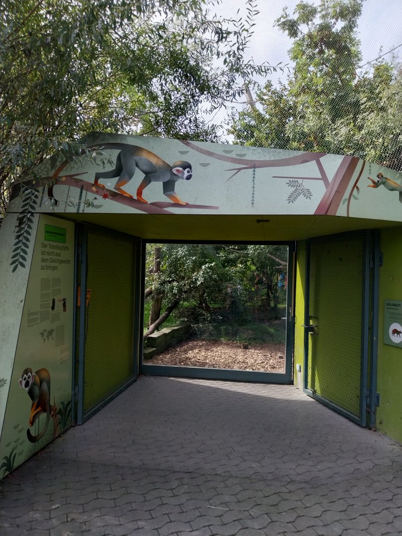 Bolivian squirrel monkey & common red-rumped agouti aviary