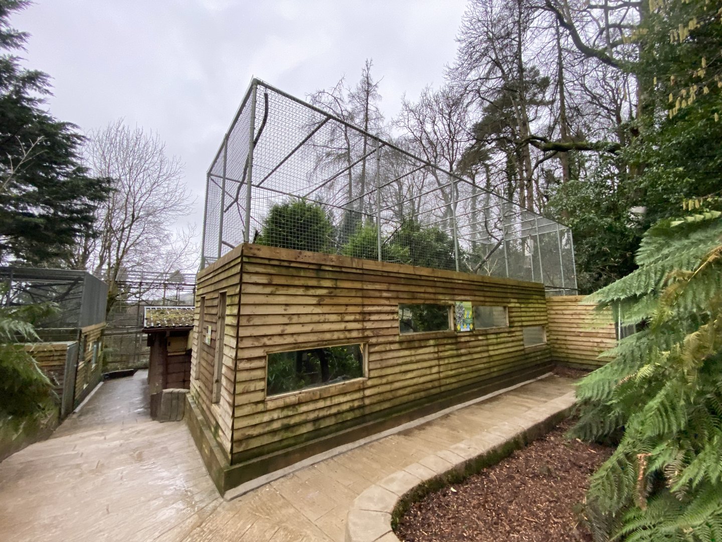 Bolivian squirrel monkey enclosure 170224