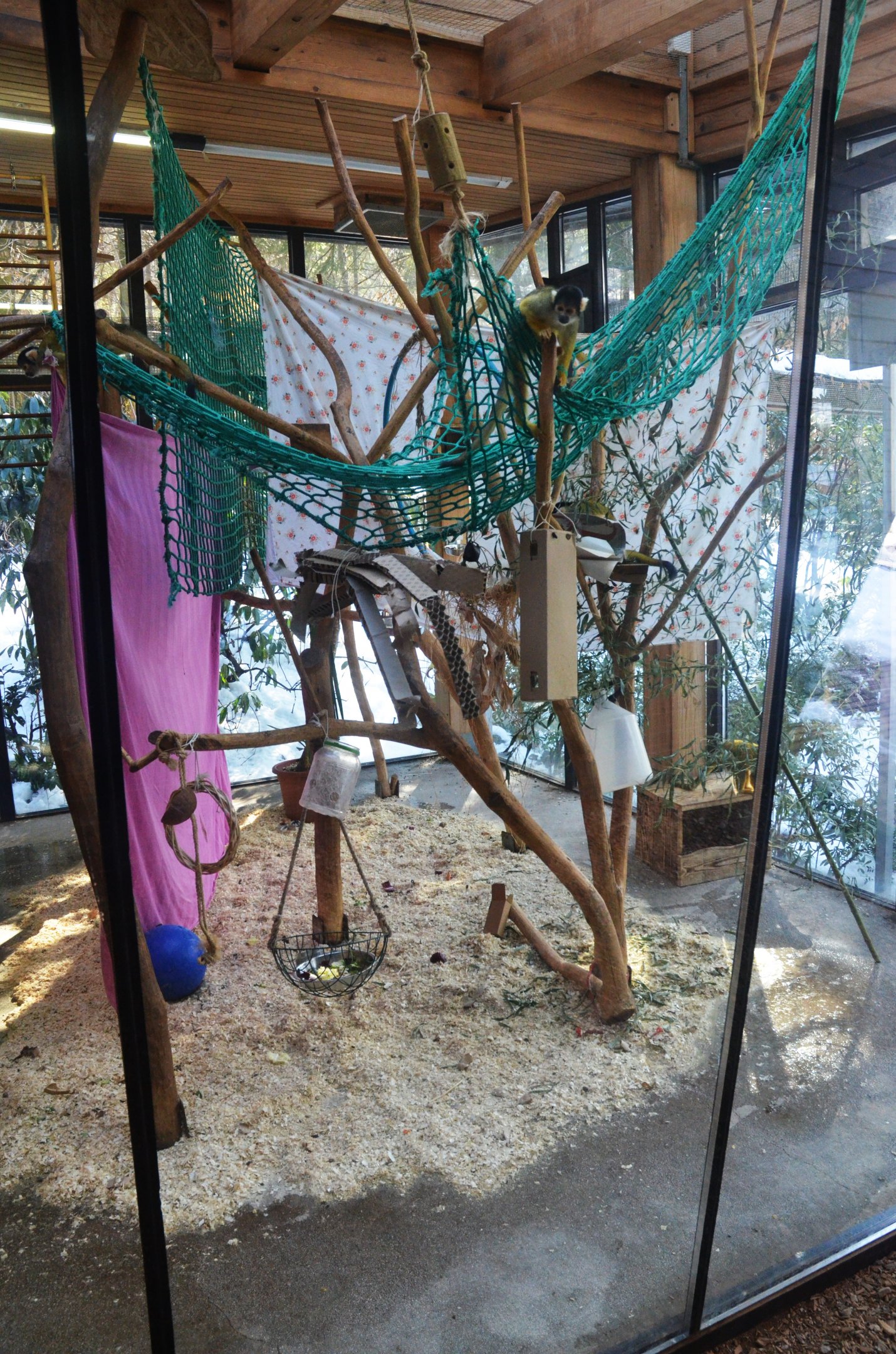 Bolivian Squirrel Monkey Enclosure at Ljubljana Zoo, 07/03/18