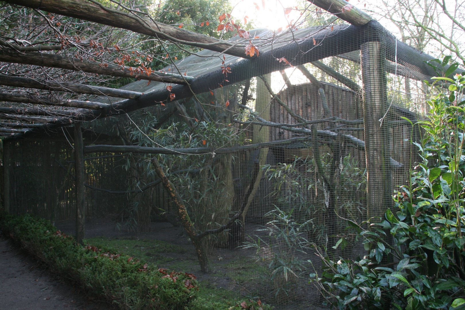 Bolivian squirrel monkey enclosure