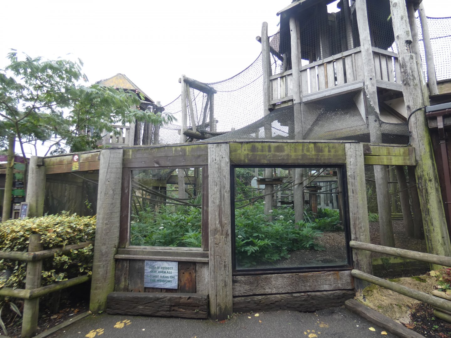 Bolivian squirrel monkey enclosure