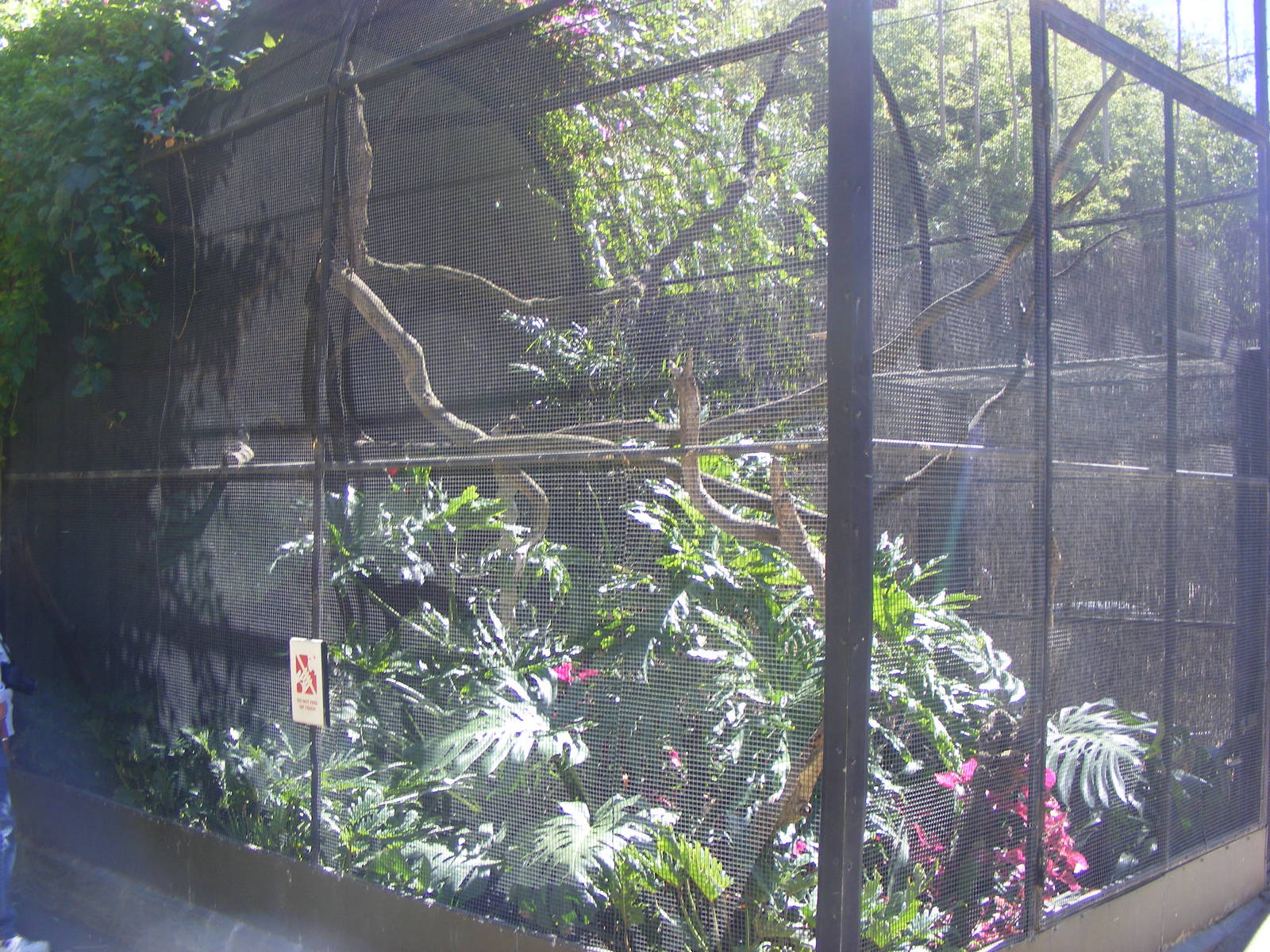 Bolivian Squirrel-monkey Exhibit - April, 2010