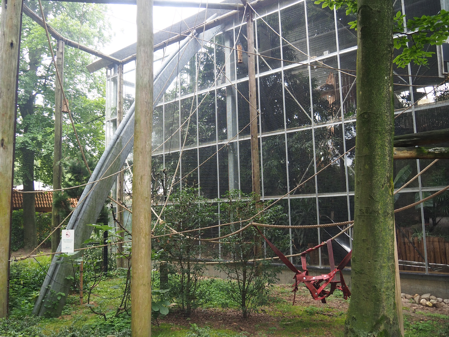 Bolivian squirrel monkey exhibit, Section to the left of RavotAapia entrance, 2023-08-17