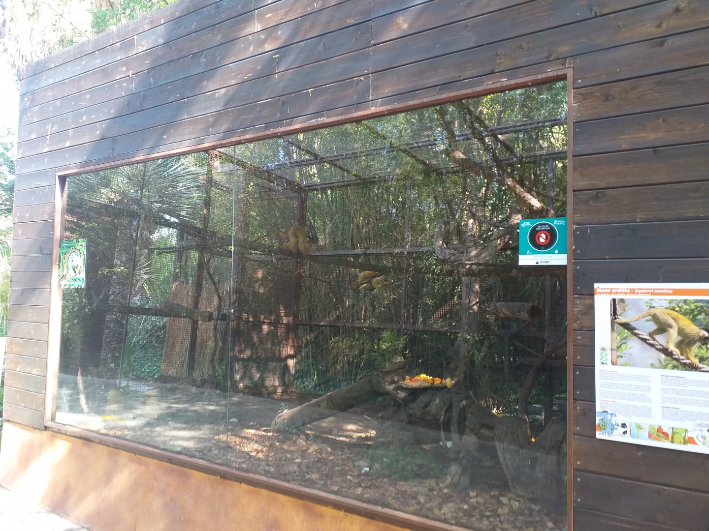 Bolivian squirrel monkey exhibit -TerraNatura Benidorm (2021)