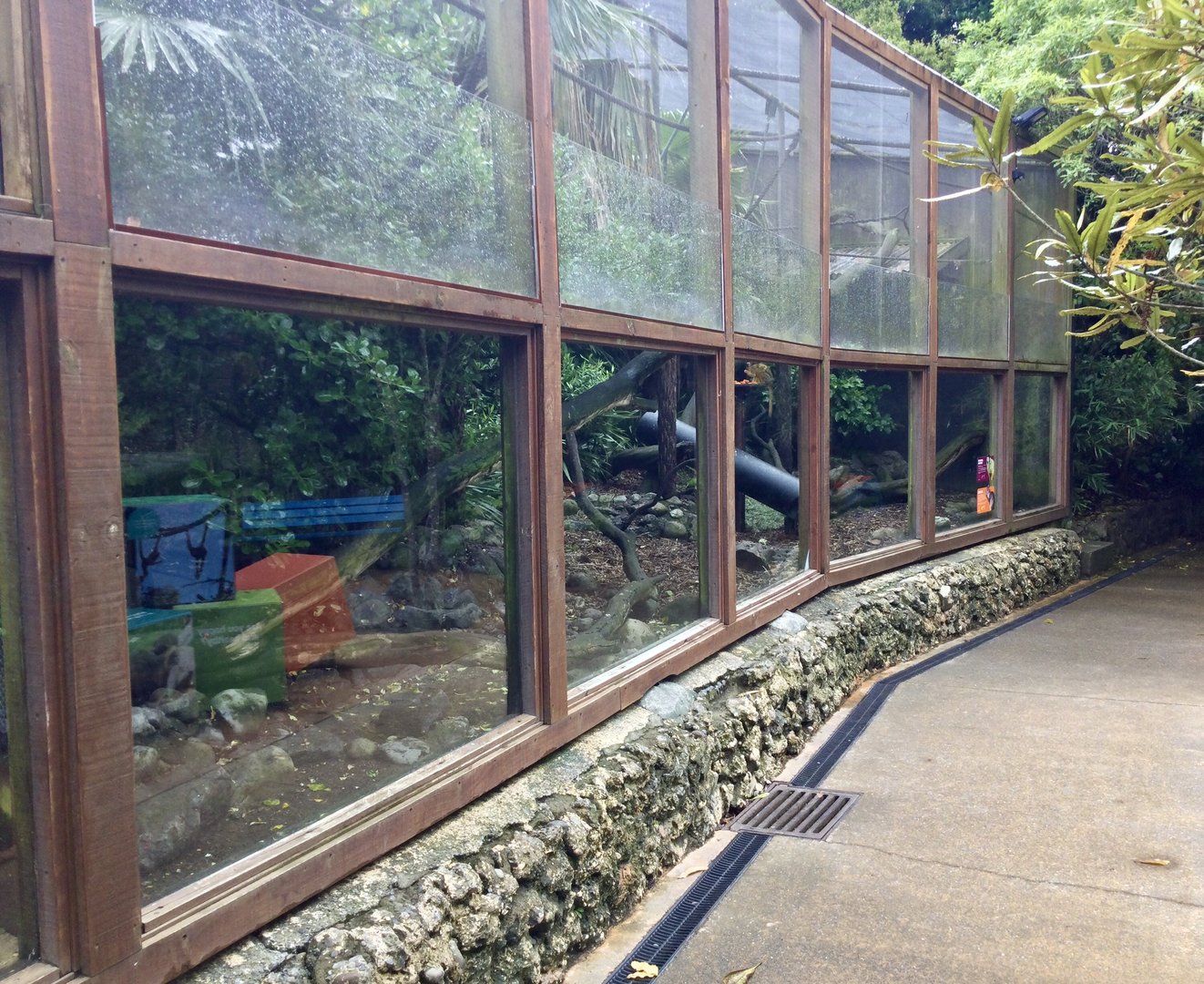 Bolivian Squirrel Monkey Exhibit