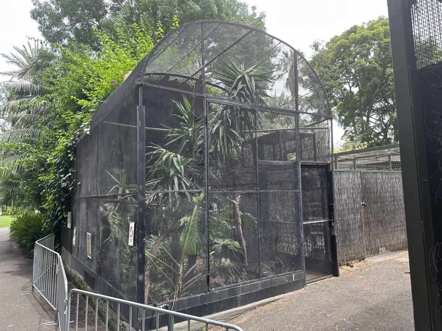 Bolivian Squirrel Monkey Exhibit