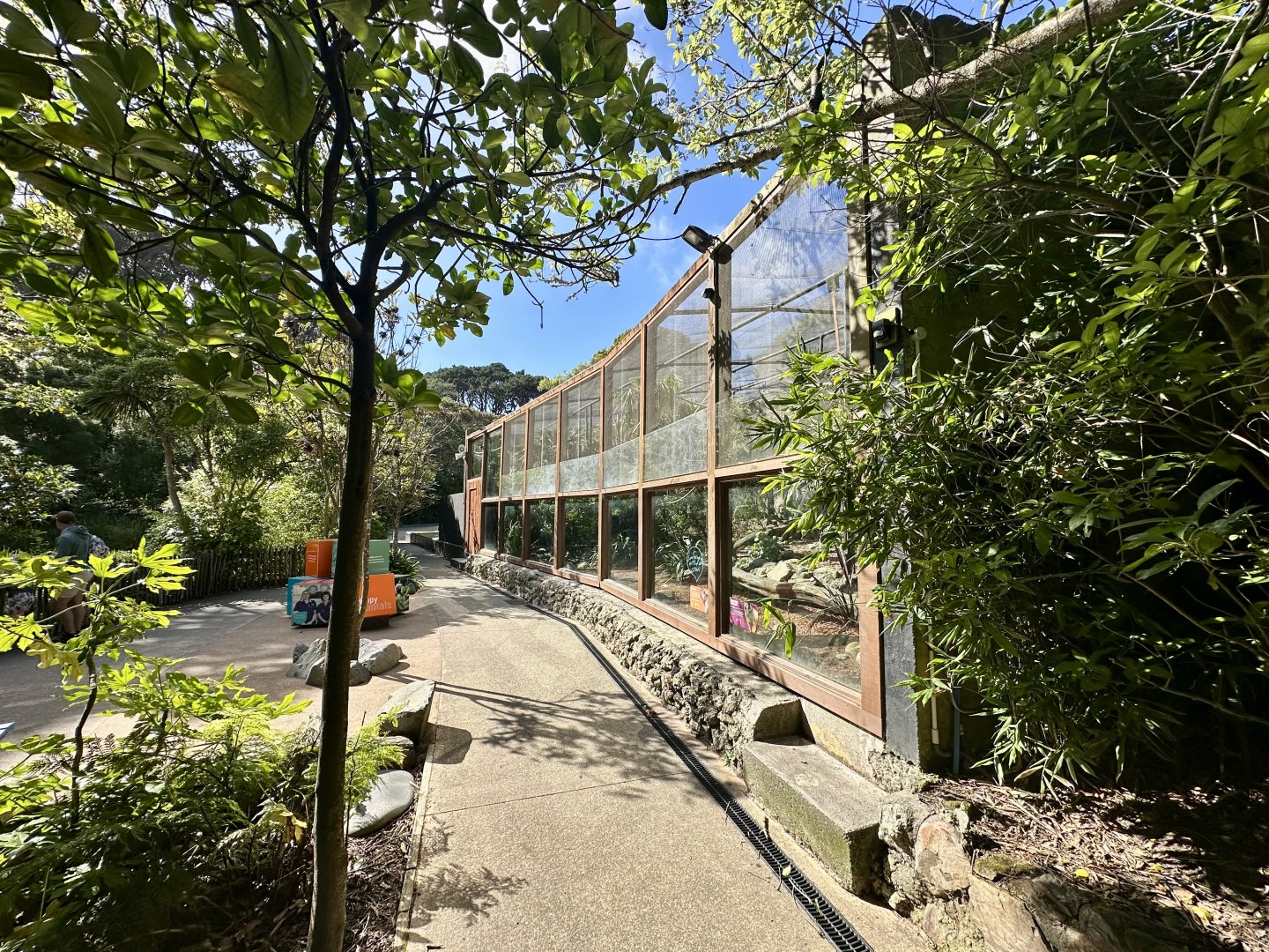 Bolivian Squirrel Monkey Exhibit