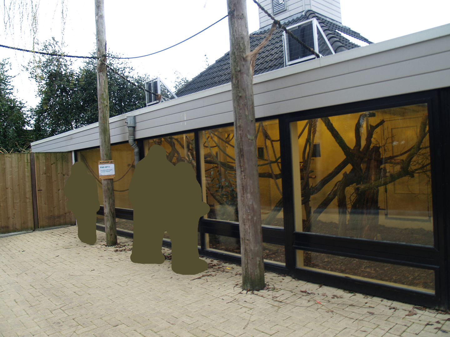 Bolivian squirrel monkey house, 2008-03-01