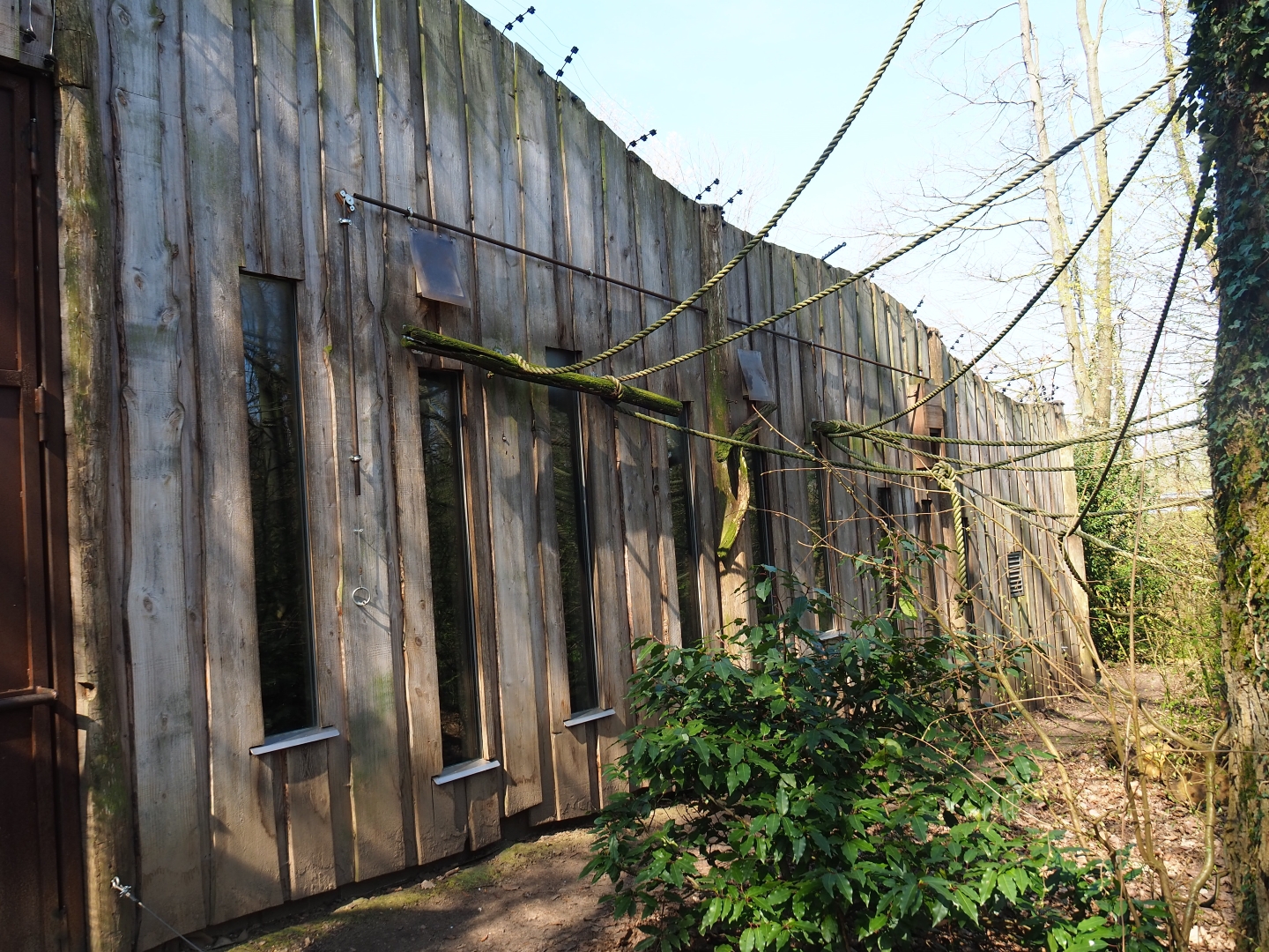 Bolivian squirrel monkey house, 2019-03-30