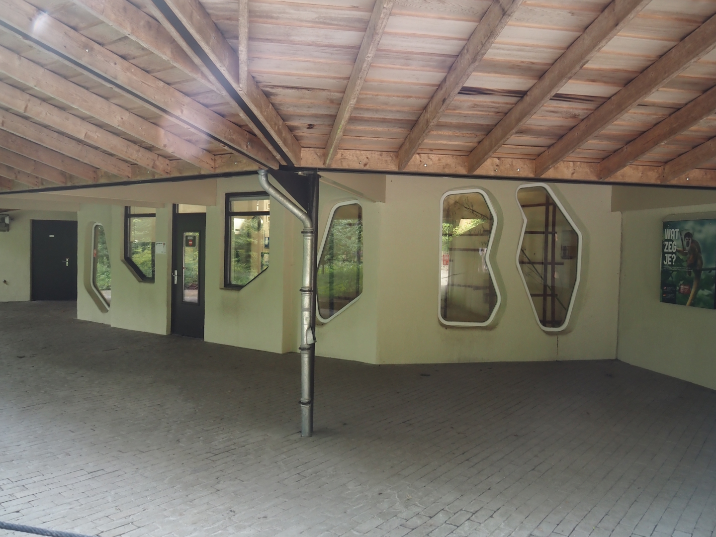 Bolivian squirrel monkey house, 2024-08-18