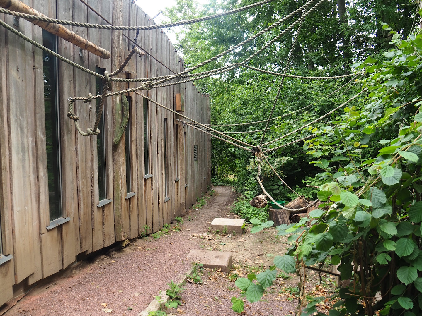 Bolivian squirrel monkey house and climbing ropes, 2023-07-18