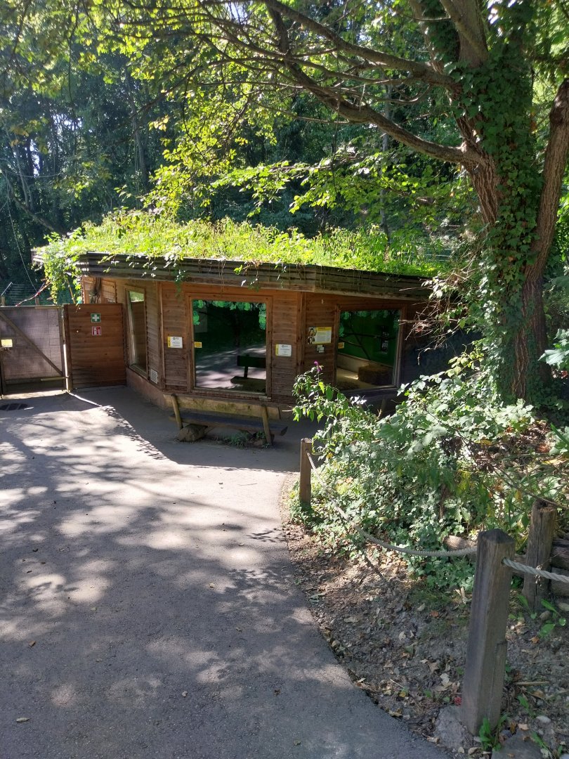 Bolivian squirrel monkey house
