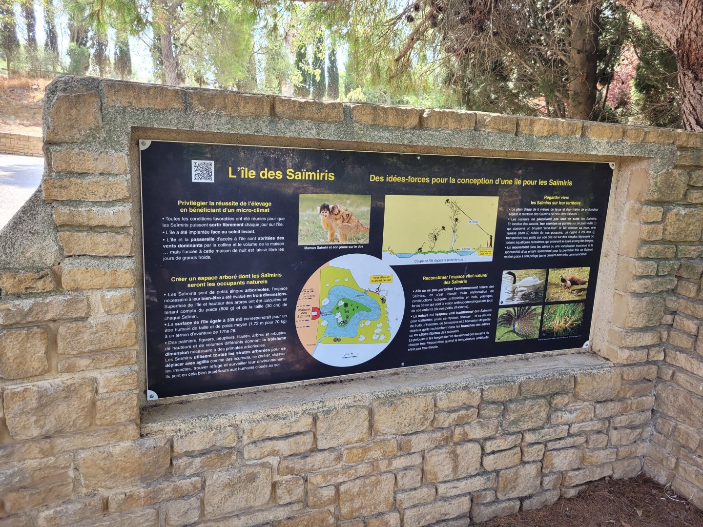 Bolivian squirrel monkey island sign -Réserve Africaine de Sigean (2022)