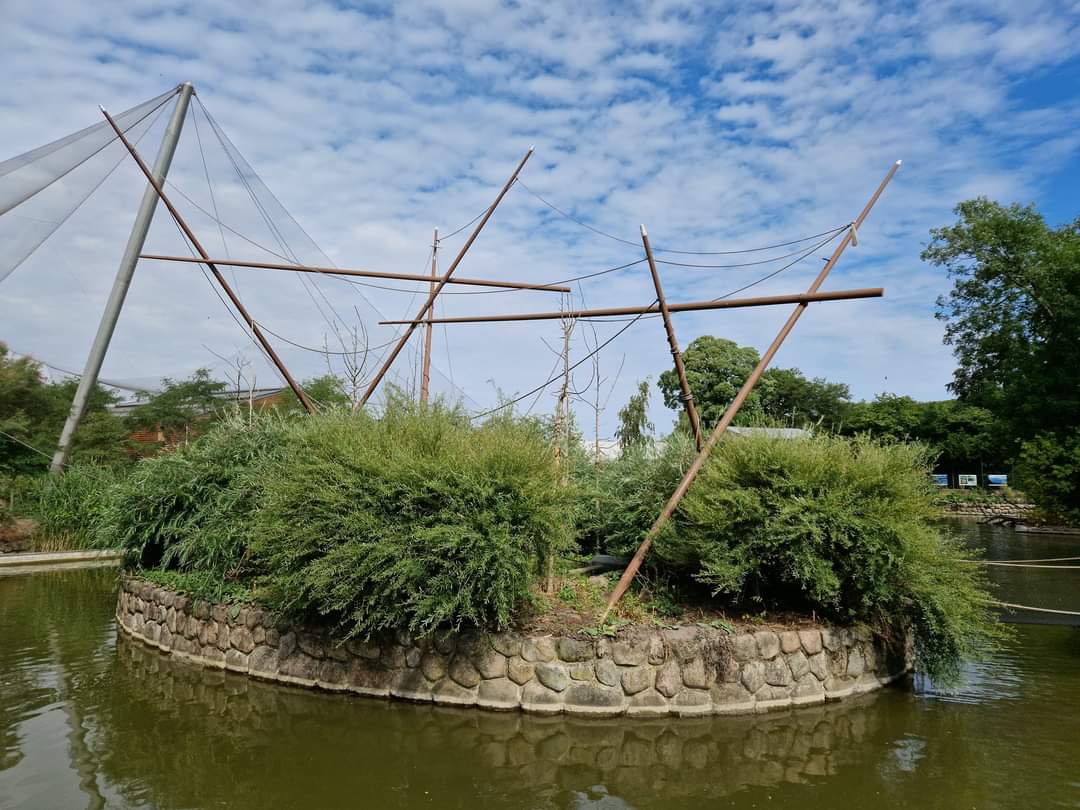 Bolivian Squirrel monkey Island