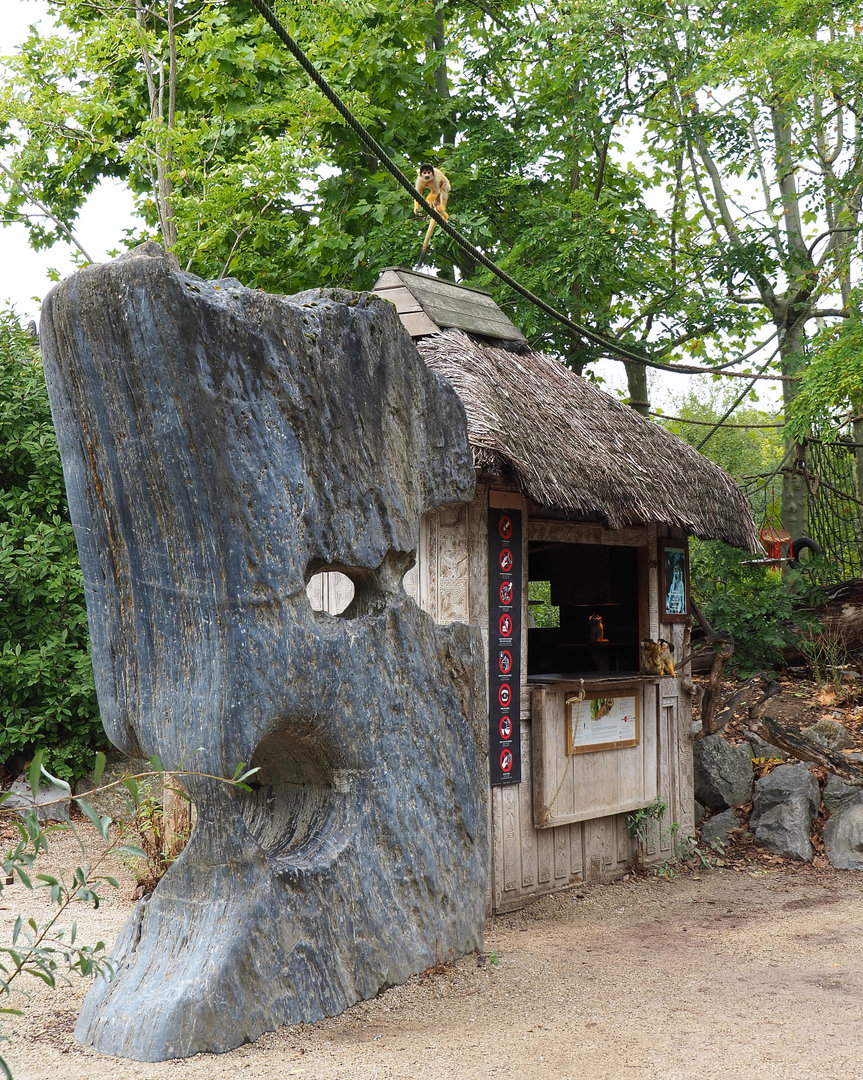 Bolivian squirrel monkey shelter and strange rock, 2022-09-15