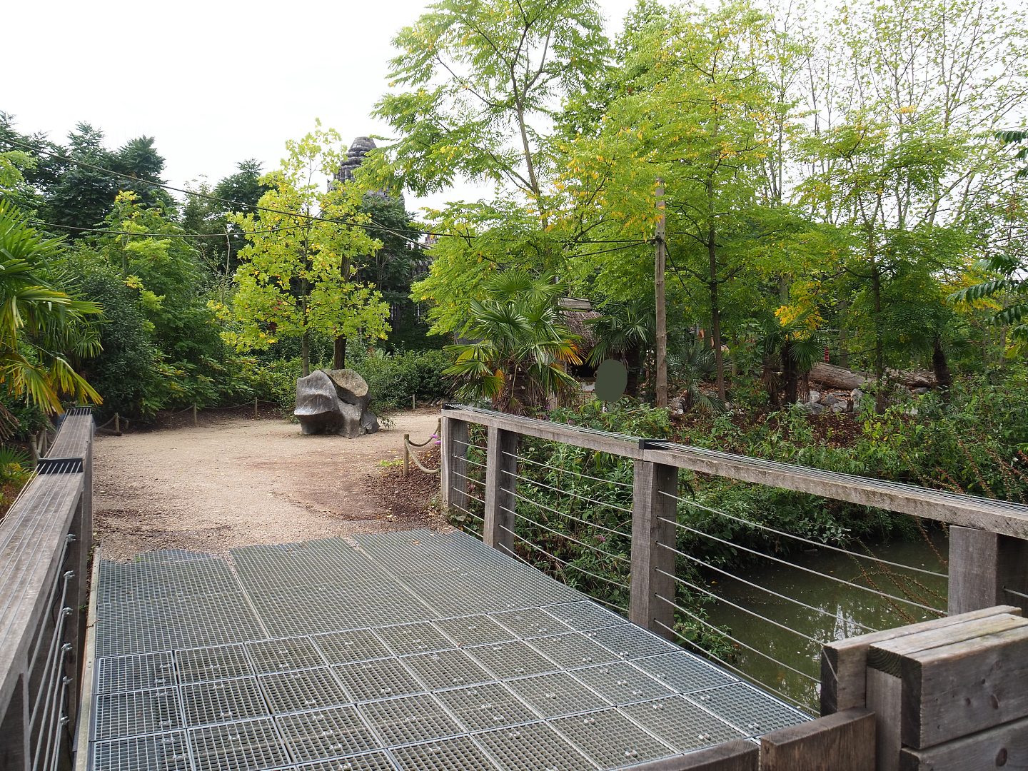 Bolivian squirrel monkey walk-through island, 2022-09-15