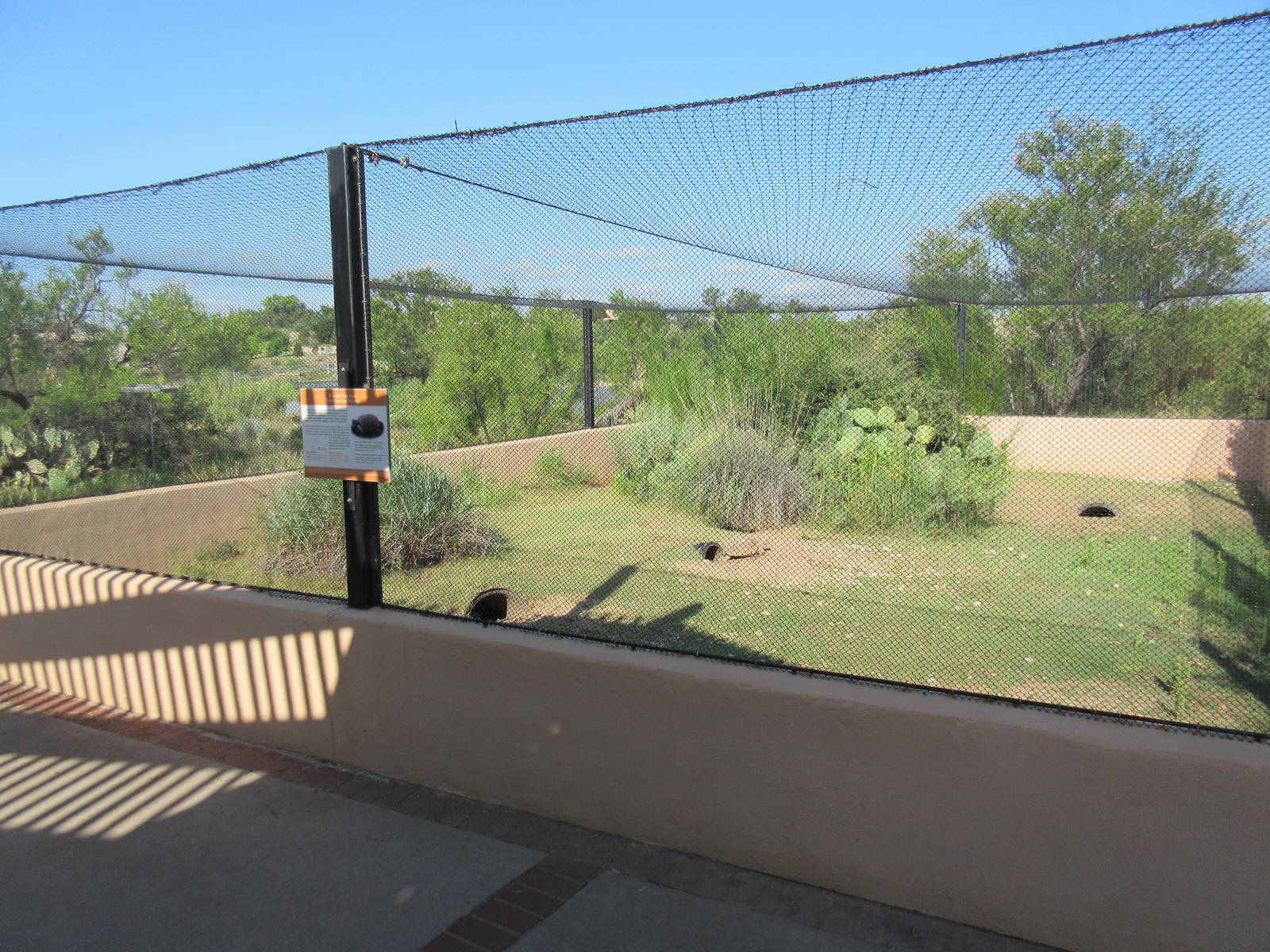 Bolson's Tortoise Exhibit