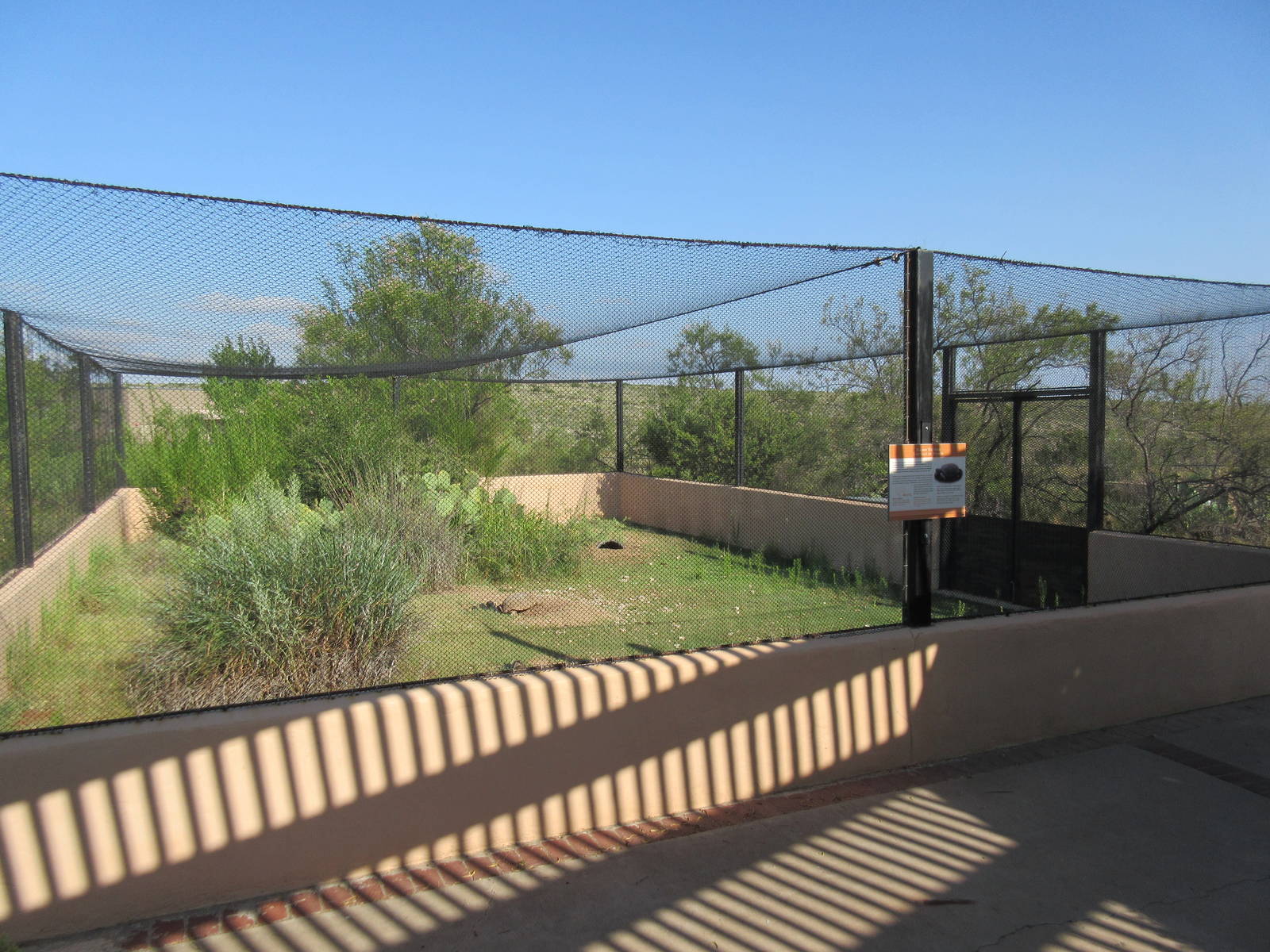 Bolson's Tortoise Exhibit