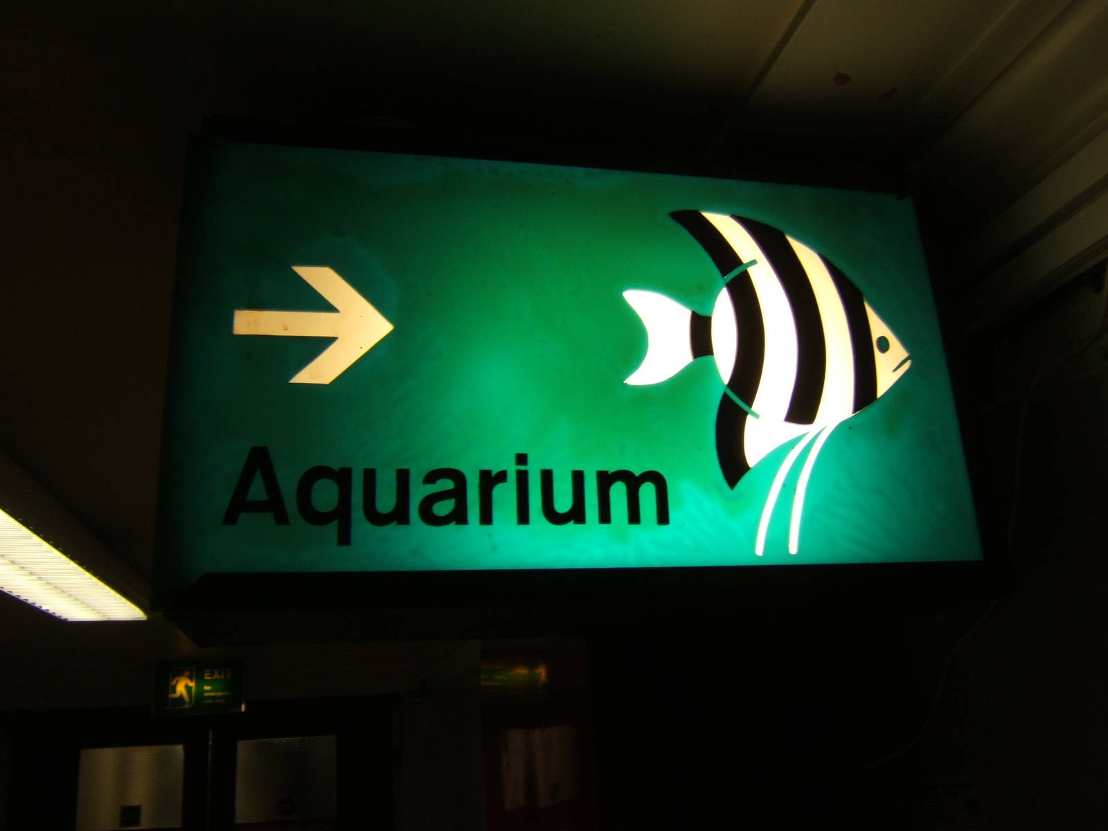 Bolton Museum Aquarium