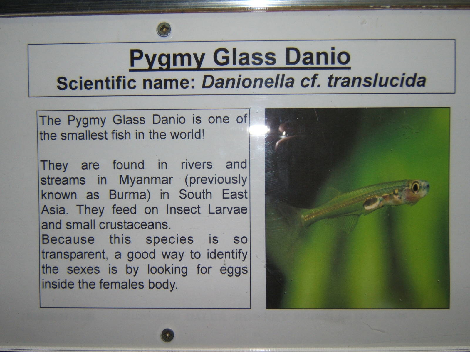 Bolton Museum Aquarium