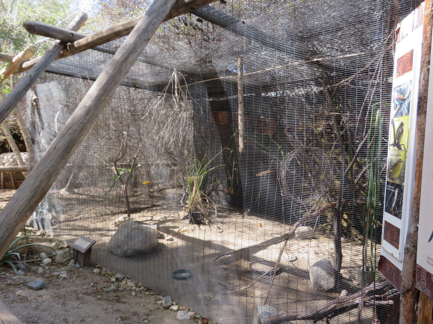 Boma Aviary