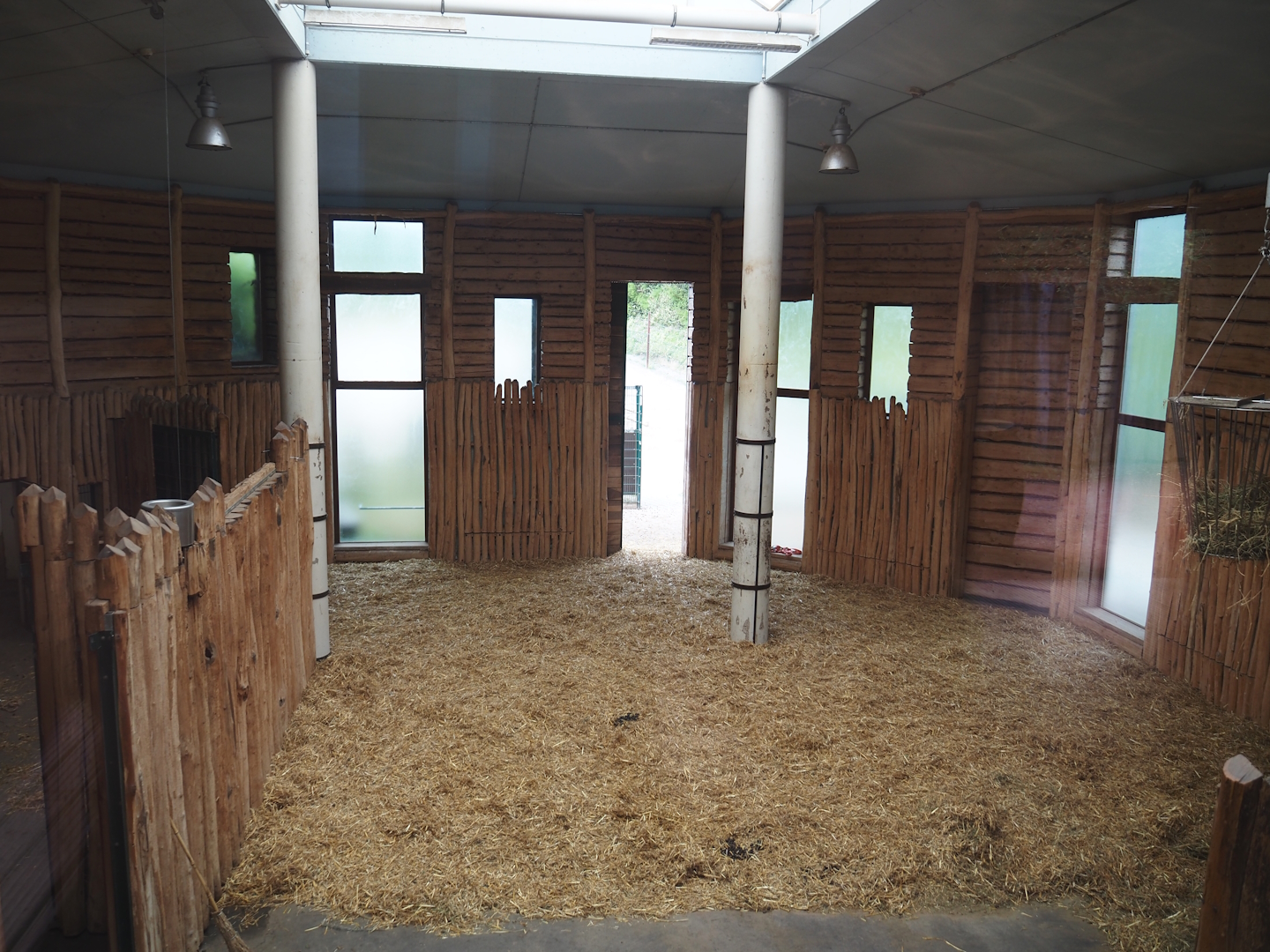 Boma/Rothschild's giraffe barn, 2024-08-05