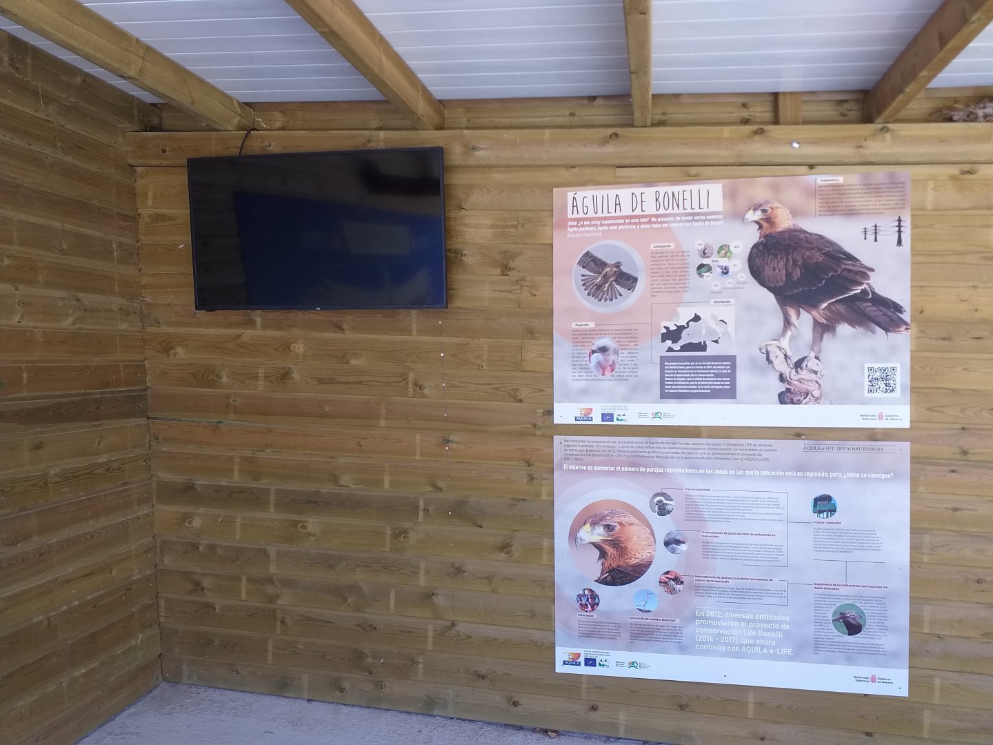 Bonelli's eagle information corner -Sendaviva (2020)