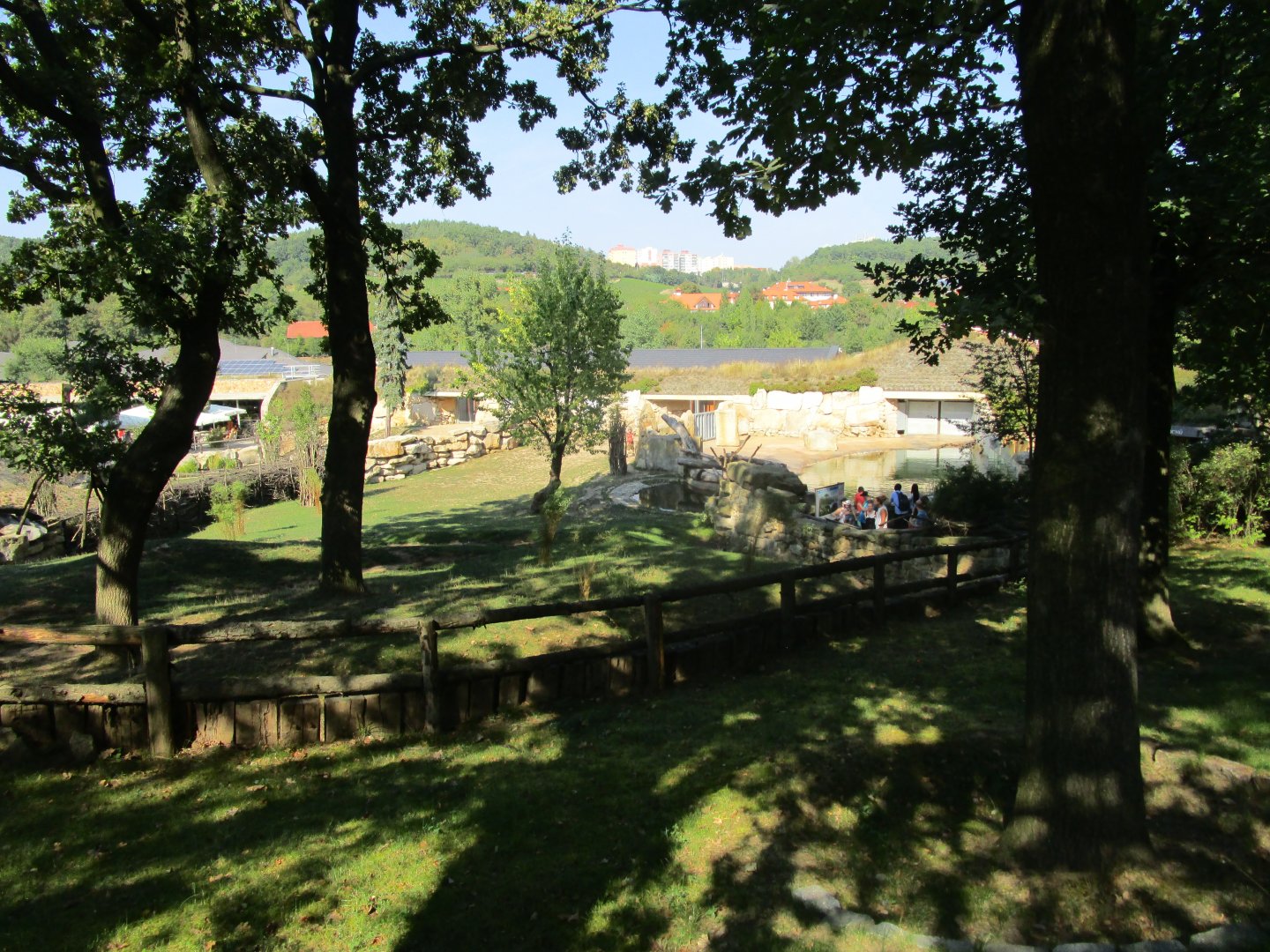 Bongo and Hippo Exhibits