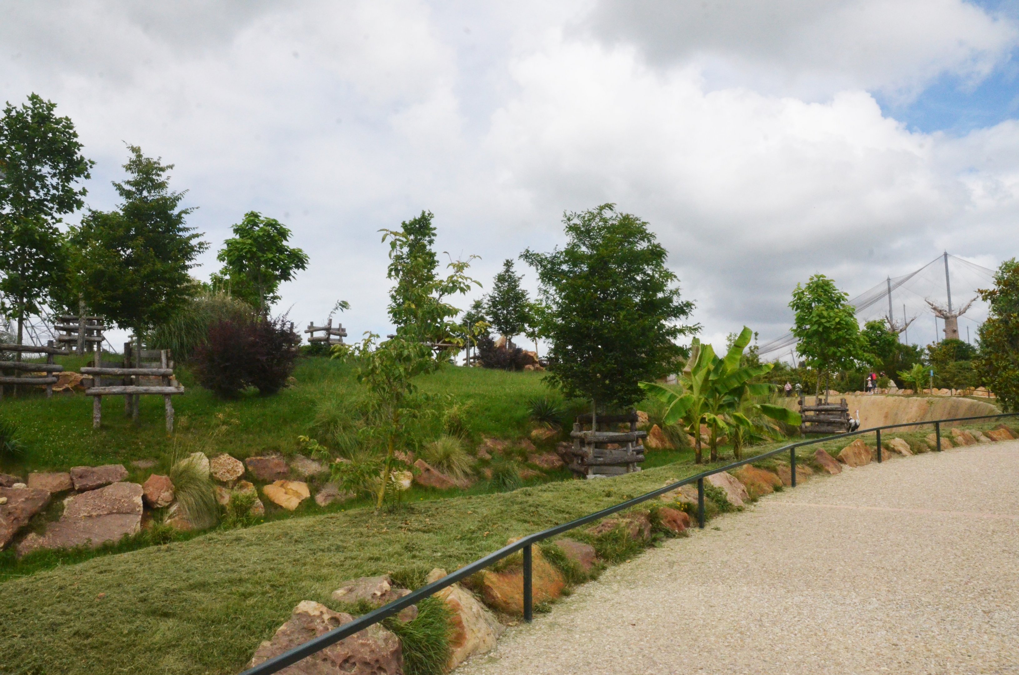 Bongo and Wattled Crane Paddock at Beauval, 12/06/18