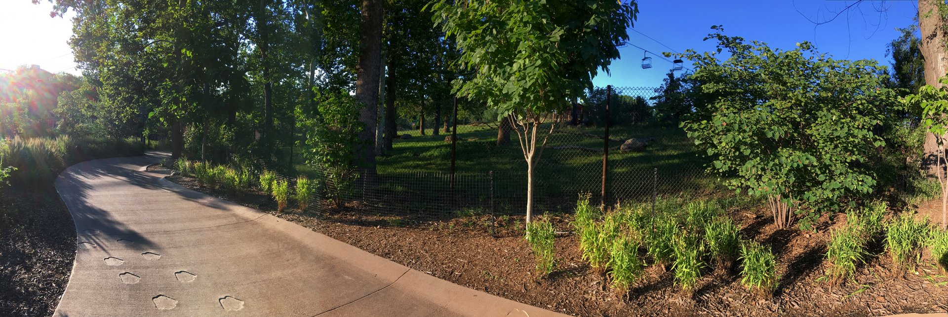 Bongo & Blue Crane Exhibit 1