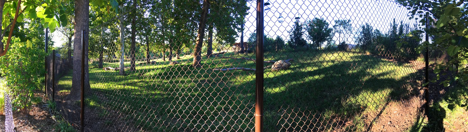 Bongo & Blue Crane Exhibit 2