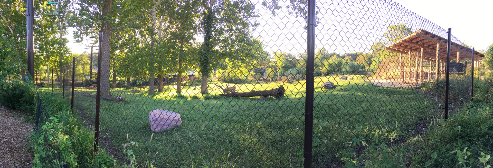 Bongo & Blue Crane Exhibit 3