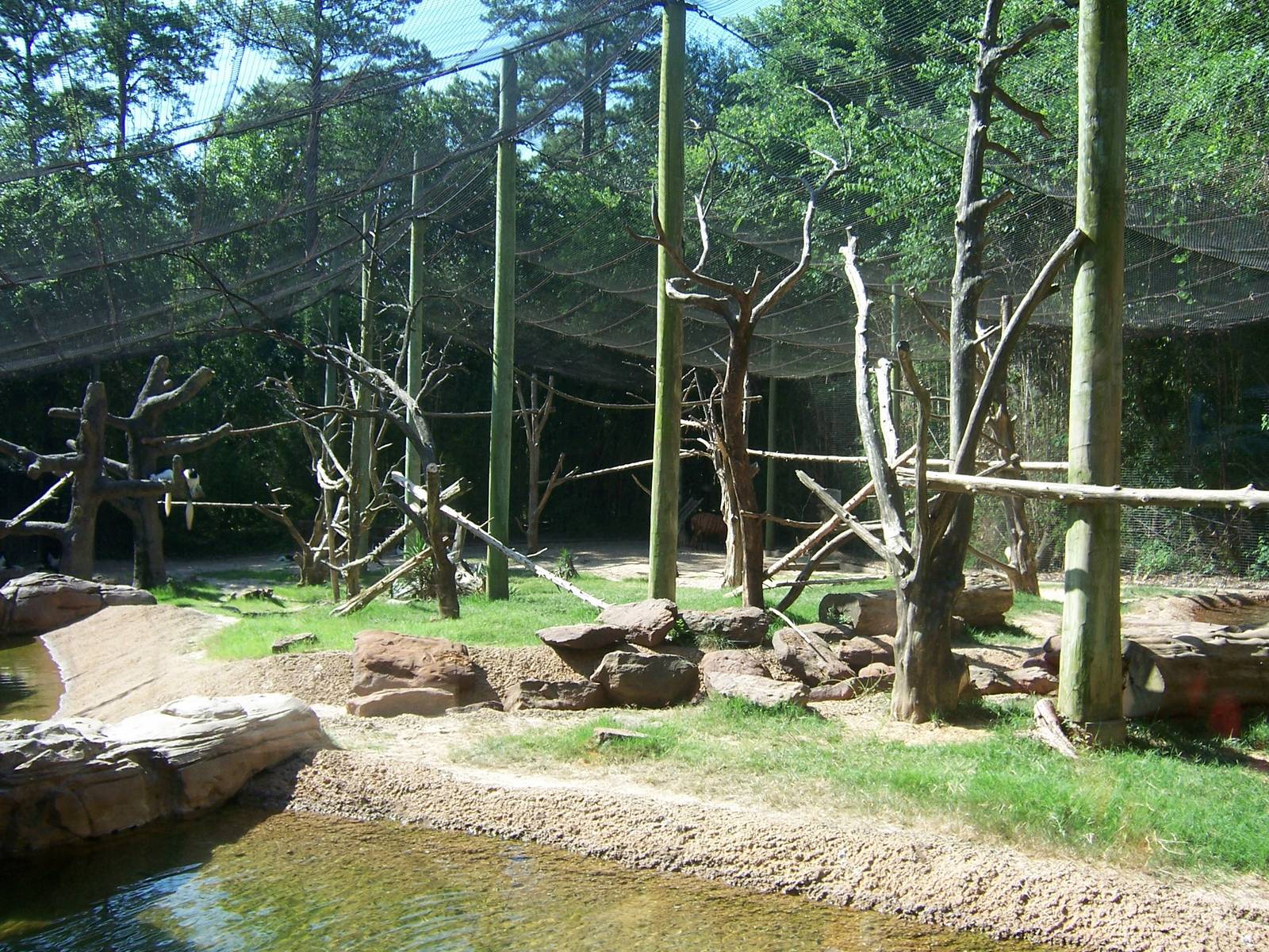 Bongo/Colobus/Duiker Exhibit